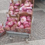 190728_Sagra Cipolla Rossa Partanna 1