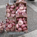190728_Sagra Cipolla Rossa Partanna 2